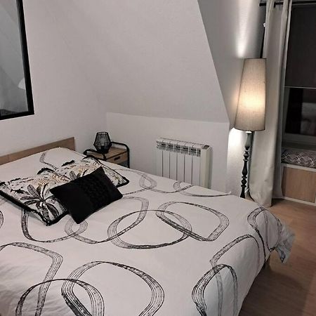 Bel Appartement, Selestat Luaran gambar