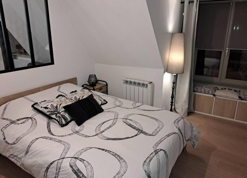 Bel Appartement, Selestat Luaran gambar