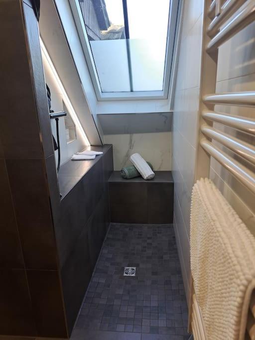 Bel Appartement, Selestat Luaran gambar